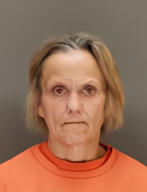 Mugshot of CYNTHIA JENSVOLD