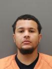 Mugshot of SANCHEZ NIEVES,