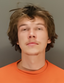Mugshot of JAARI LARSON
