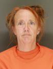 Mugshot of TAMI HOOK