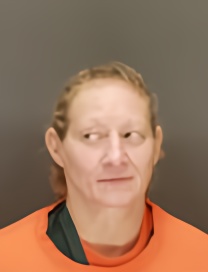Mugshot of KIMBERLY JOHNSON