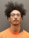 Mugshot of DOMINIC PUSATERI