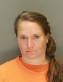 Mugshot of ANNA MEREDITH