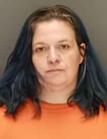 Mugshot of LEEANN OCILKA