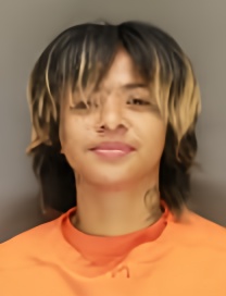 Mugshot of MICHELLE NIN