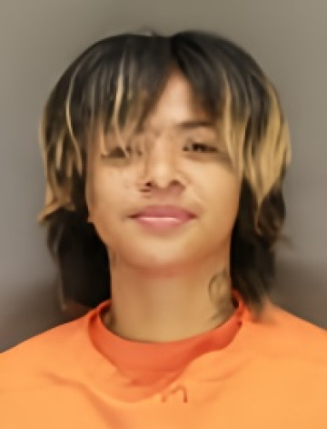 Mugshot of MICHELLE NIN