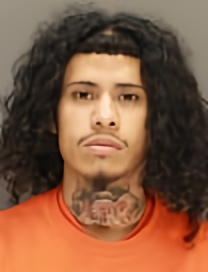 Mugshot of JACKSON PINEDA