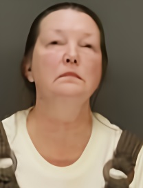 Mugshot of VICTORIA HANKS