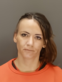 Mugshot of ALINA ZAIETS