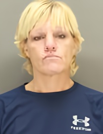 Mugshot of DANA SCHAAR