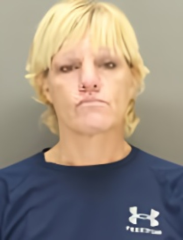 Mugshot of DANA SCHAAR